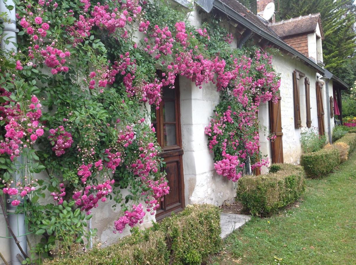 Gite O Beauval Saint-Aignan  Buitenkant foto