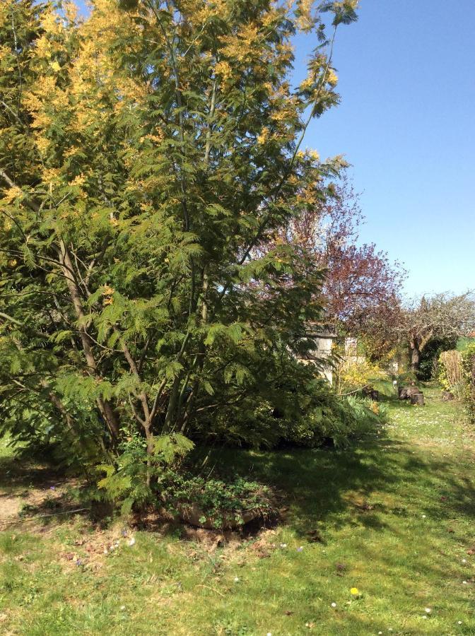Gite O Beauval Saint-Aignan  Buitenkant foto